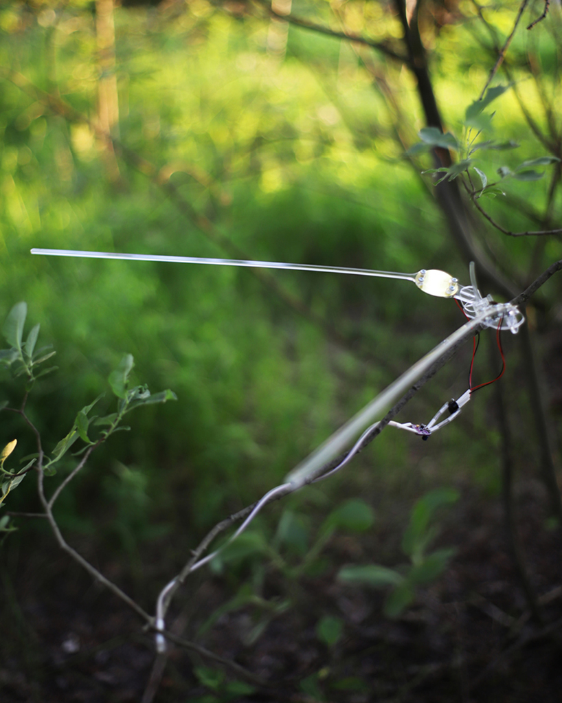 the anemokinetics project uses the movement of trees to generate electricity designboom
