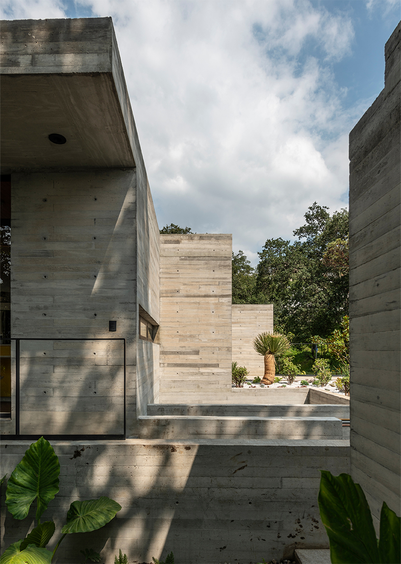 four intertwined levels extend ayg house's living zones towards greenery in mexico city