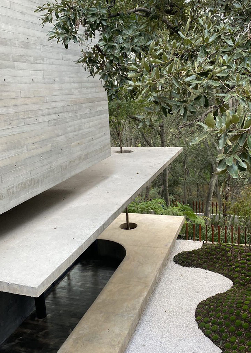 four intertwined levels extend ayg house's living zones towards greenery in mexico city