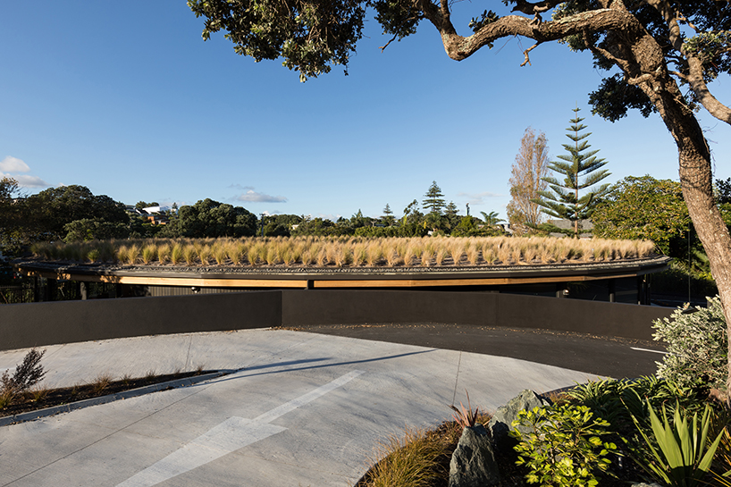 kakapo creek childrens garden a place where connections between children and the natural world are fostered 10