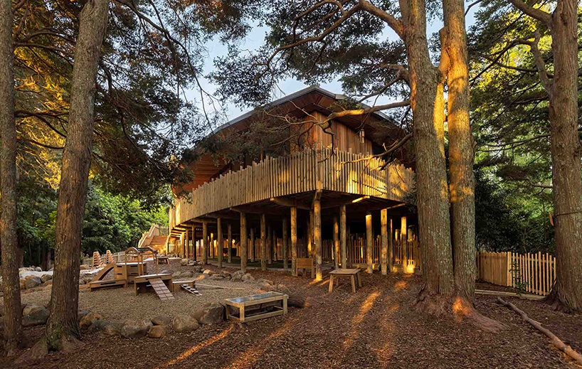 leaf-shaped roof tops gaia forest preschool center's structure in new zealand