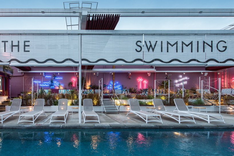 POW ideas captures retro neon style for the swimming club in kuala lumpur
