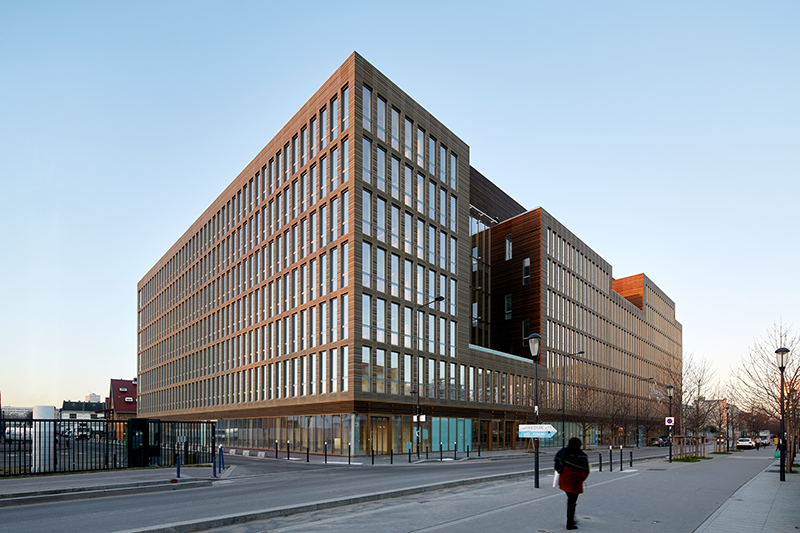 natural wood and warm lighting fill bfv architectes’ office building in paris