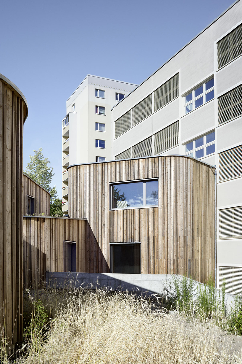 green roofs and timber façades articulate mono architekten's school extension in berlin designboom