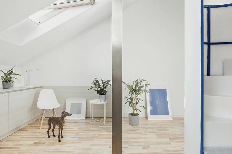 untitled architecture brings natural light into a compact apartment in milan designboom