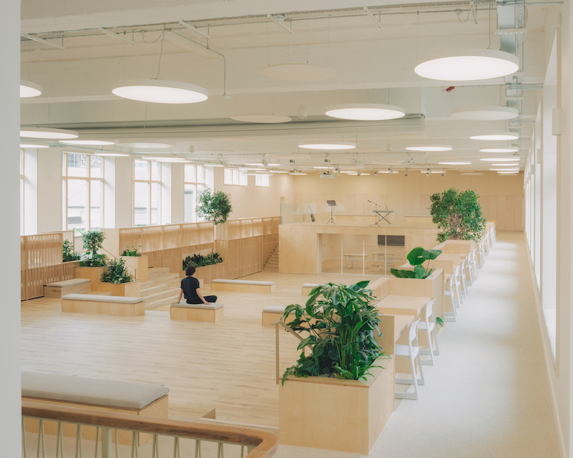 former swimming pool converts into multi-use timber education space for london college