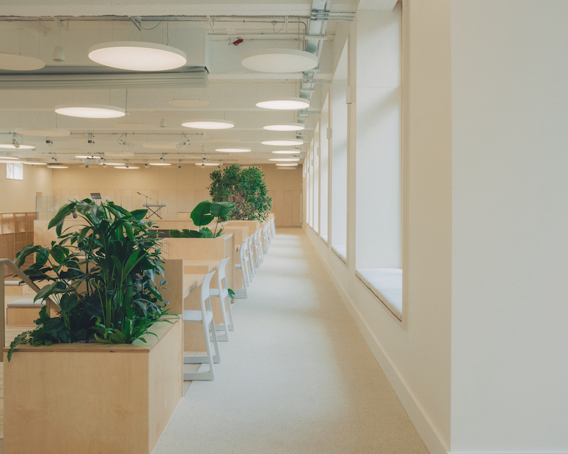 former swimming pool converts into multi-use timber education space for london college