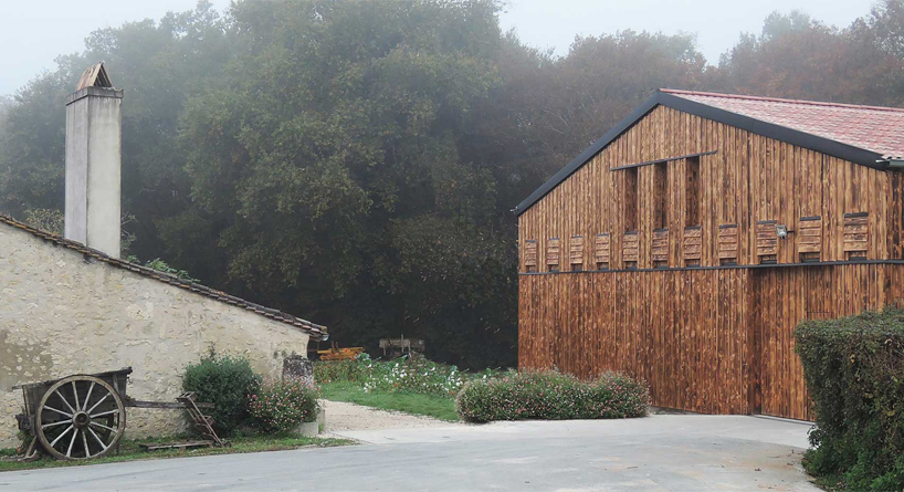 the new facade of a wine cellar acts as a bat shelter 1