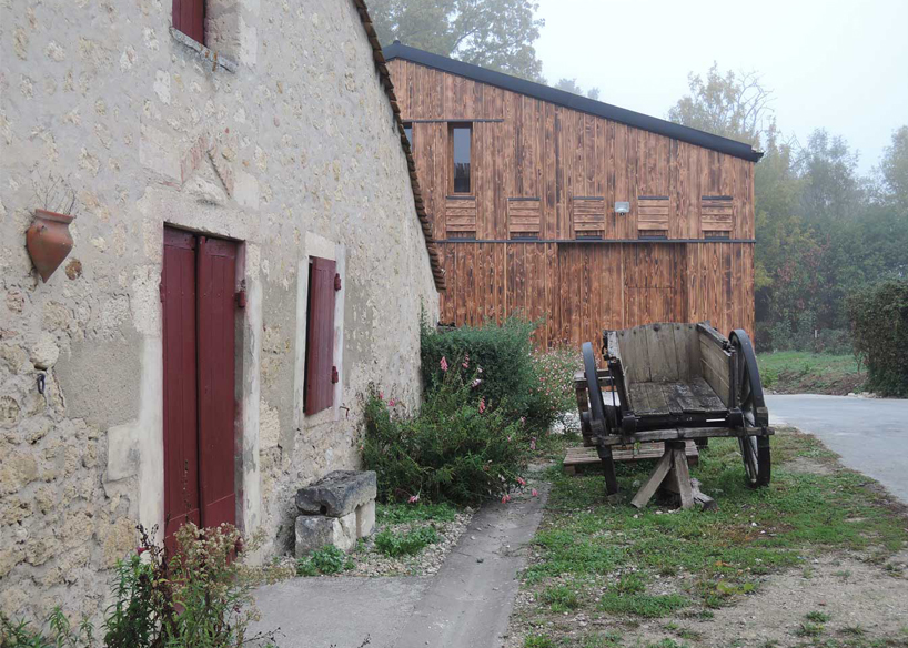 the new facade of a wine cellar acts as a bat shelter 2