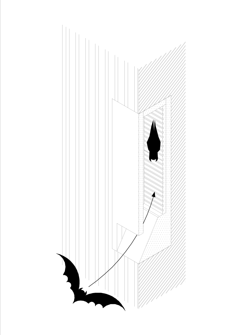 the new facade of a wine cellar acts as a bat shelter 8