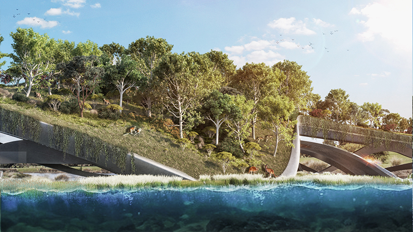 cx-landscape-ribbons-of-life-living-bridge-canberra-australia-06-27-2019-designboom