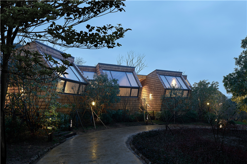 star cubes gaze towards the sky amidst chinese forest in the hangzhou senbo resort
