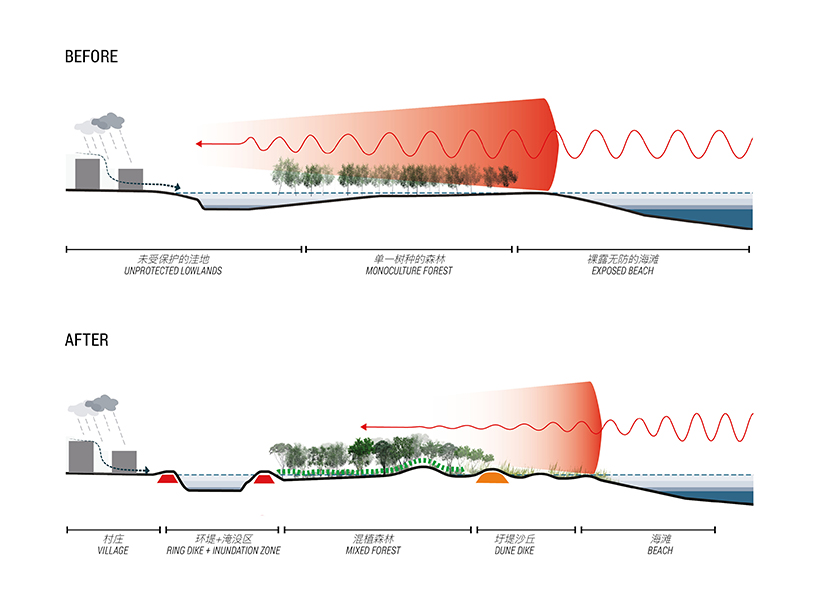 mandaworks gossamer arcadis propose typhoon proof coastal reserve for shenzhen 11