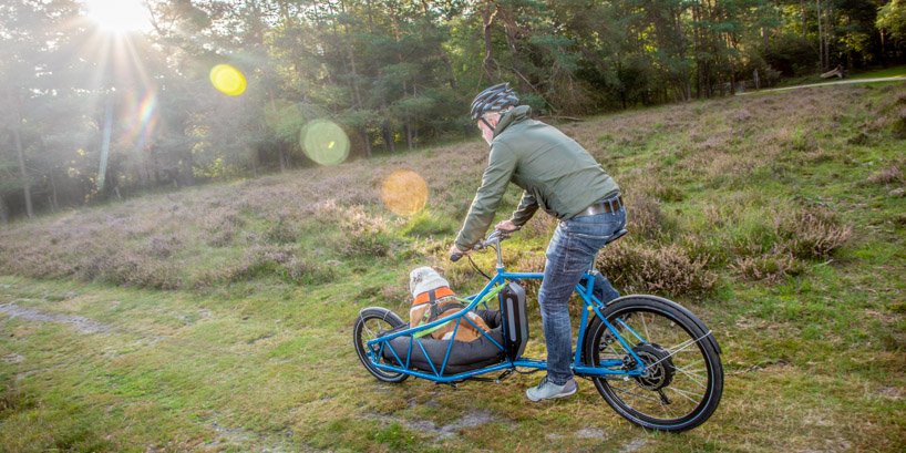 elian cargo bike