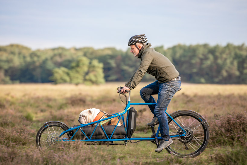 Steel cargo online bike