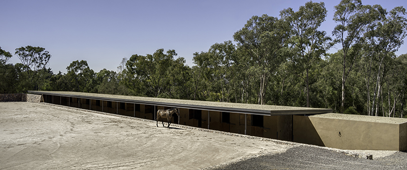 manuel cervantes estudio carves a horse track and stables in puebla's rocky terrain