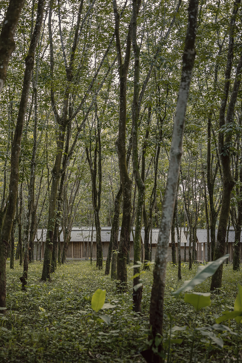 Manuel Cervantes Estudio incorporates temporary housing units among rubber trees in Mexico