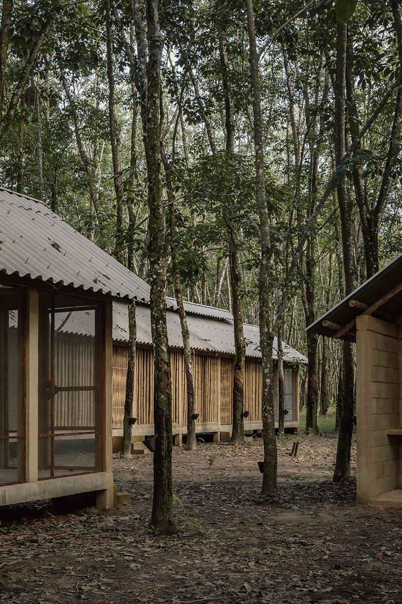 manuel cervantes estudio embeds temporary housing units among rubber trees in mexico