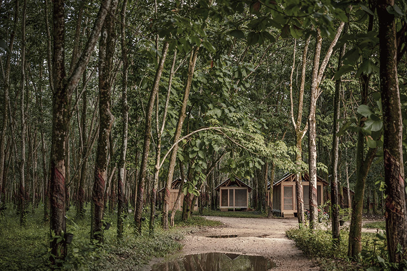 Manuel Cervantes Estudio incorporates temporary housing units among rubber trees in Mexico