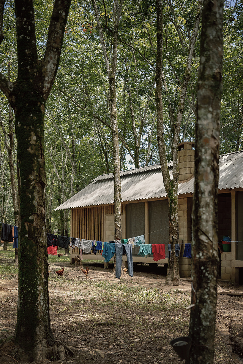 manuel cervantes estudio embeds temporary housing units among rubber trees in mexico