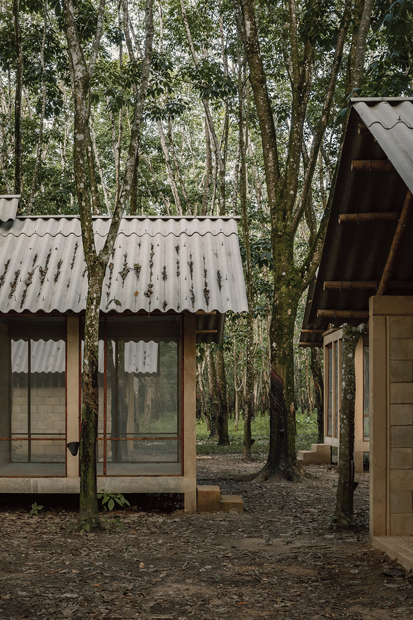 Manuel Cervantes Estudio incorporates temporary housing units among rubber trees in Mexico