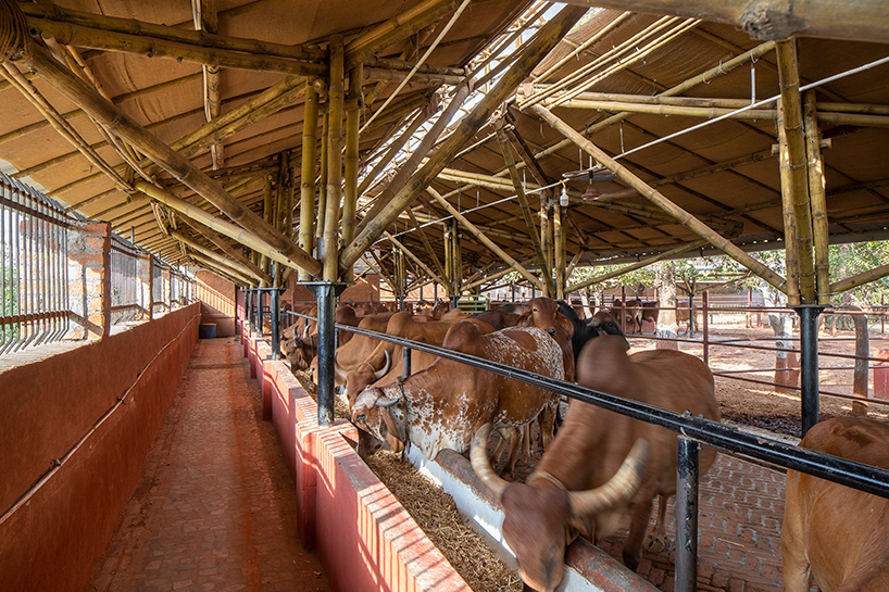 Indian Cow Farm House