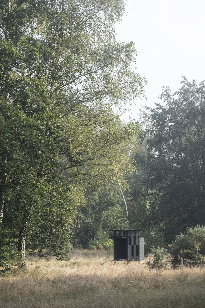inclume architects' cabin is a remote bird watching retreat in british woodlands