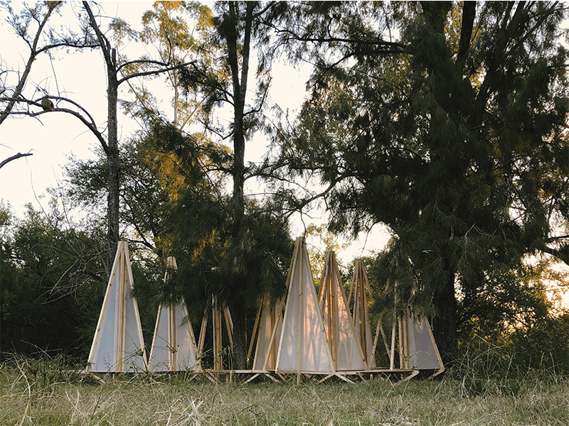 the eco-sistema installation mirrors the shape of trees in an argentinian forest