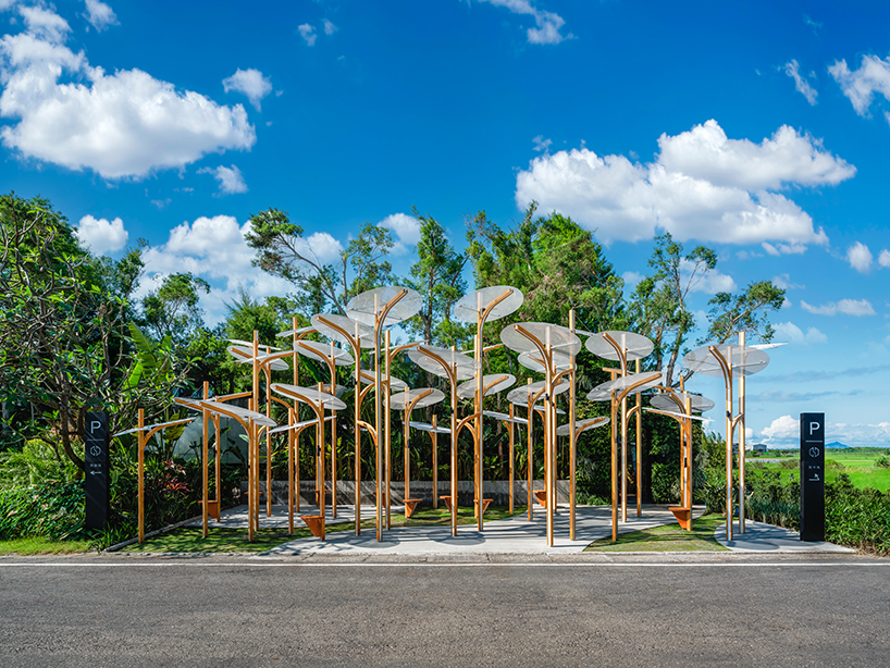 modular lighting installation by cheng tsung feng evokes vertical clustered plant colonies