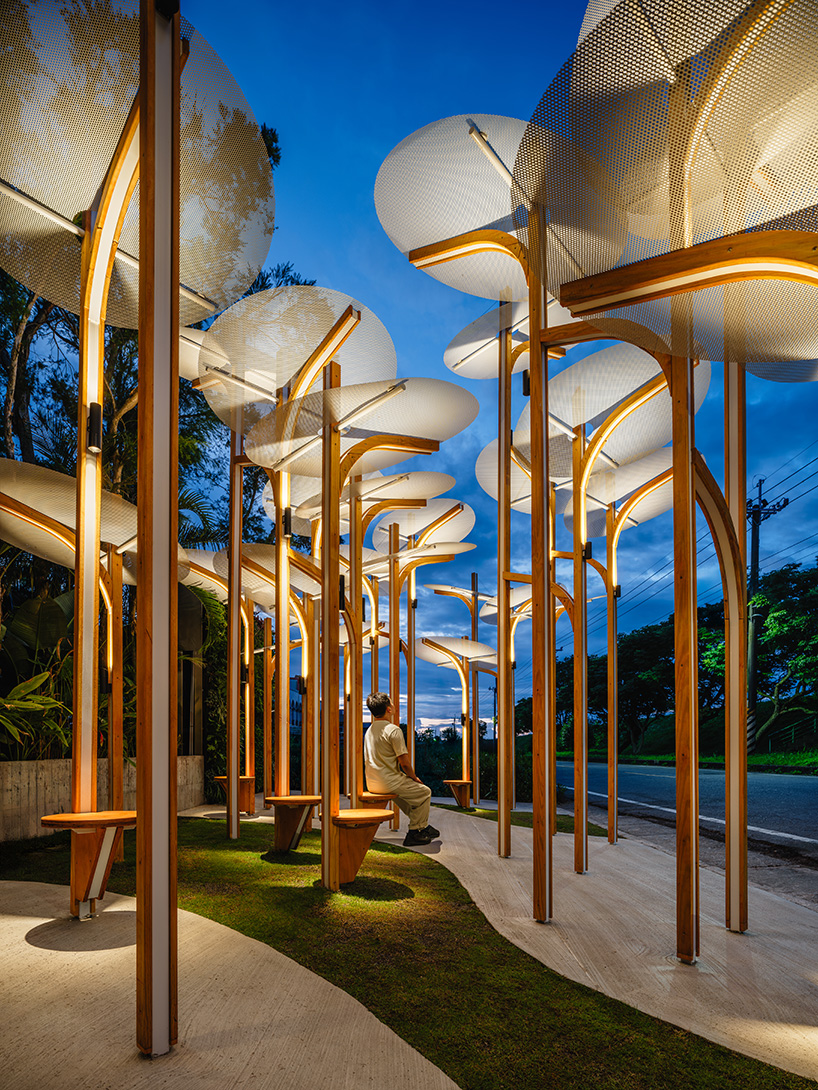 modular lighting installation by cheng tsung feng evokes vertical clustered plant colonies