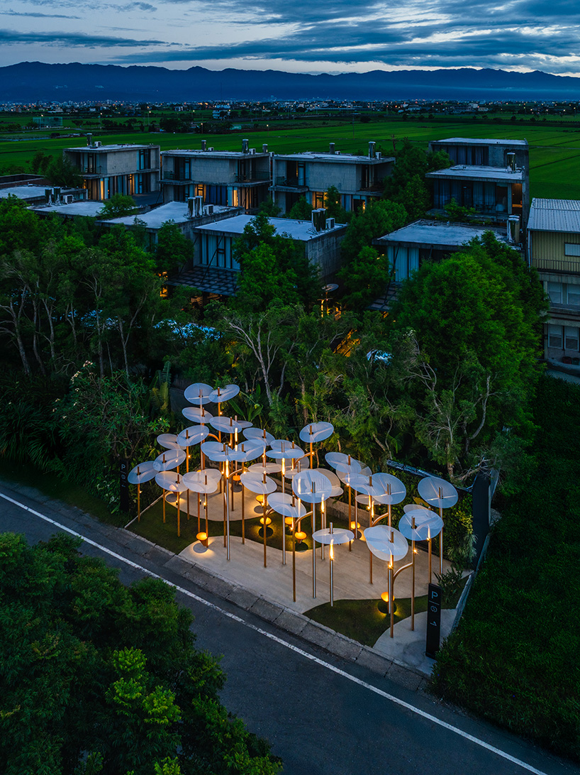 modular lighting installation by cheng tsung feng evokes vertical clustered plant colonies