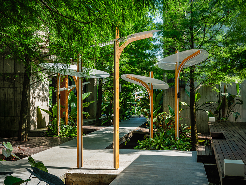 modular lighting installation by cheng tsung feng evokes vertical clustered plant colonies