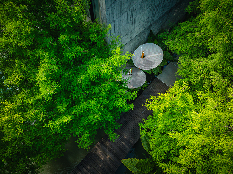 modular lighting installation by cheng tsung feng evokes vertical clustered plant colonies