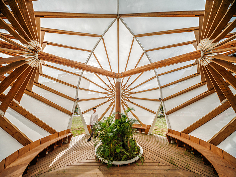 three angular canopies echo traditional oil-paper umbrellas in cheng tsung feng's installation