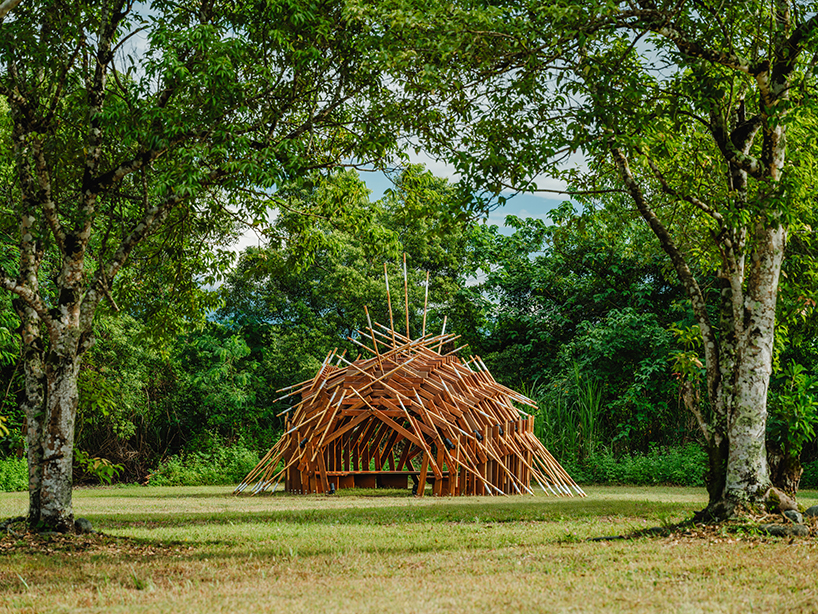 Instalación de nidos de jabalí en forma de marcos entrelazados de bambú y cedro por Cheng tsung Feng