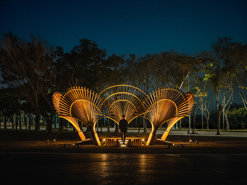 bent wooden beams fan like illuminating petals in cheng tsung feng&rsquo;s installation in taiwan