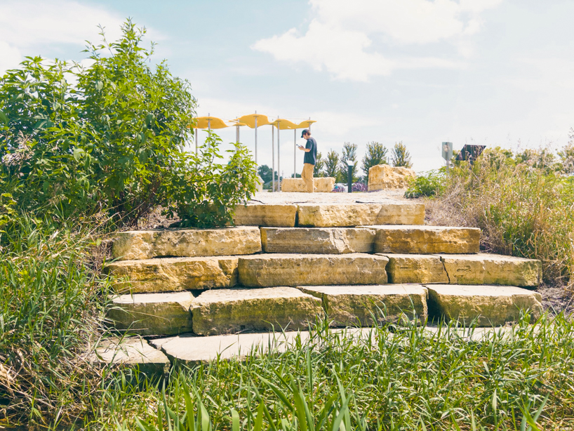algae-based bio-resin puddle pavilion by i/thee hovers above mud creek in iowa
