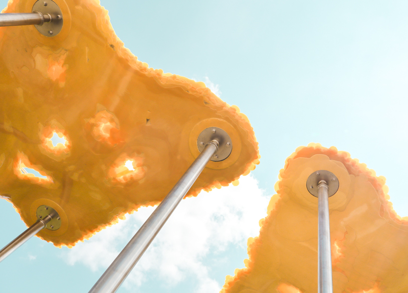 algae-based bio-resin puddle pavilion by i/thee hovers above mud creek in iowa