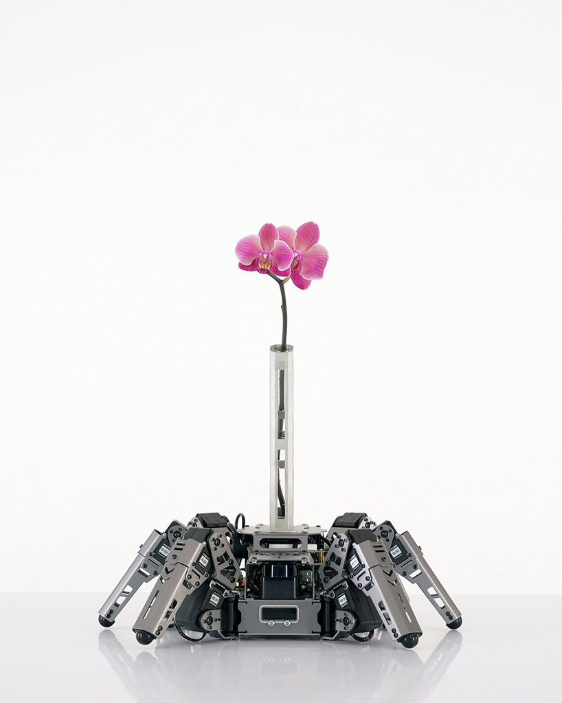 attention-seeking AI robot becomes a mobile vase for a single orchid - 1
