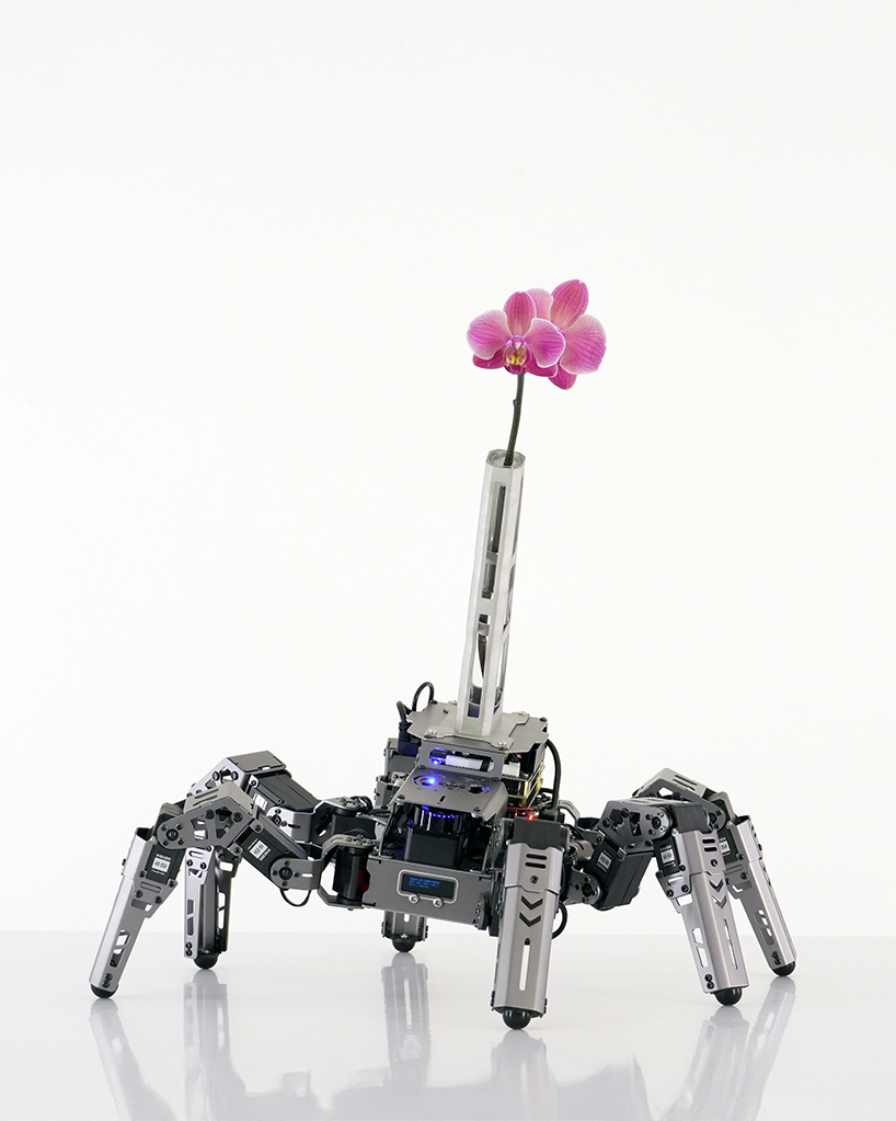 beauty seeker seeker batten and kamps embodied ai vase interrogates the 21st century attention economy 2