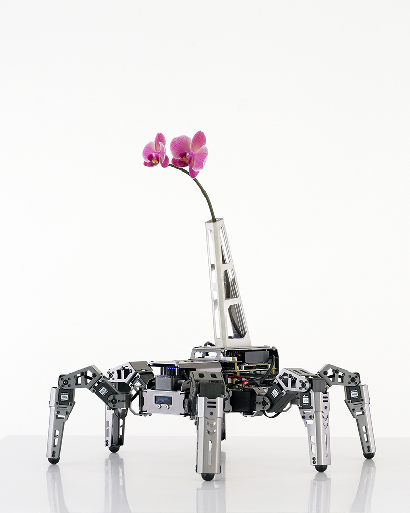 beauty seeker seeker batten and kamps embodied ai vase interrogates the 21st century attention economy 3