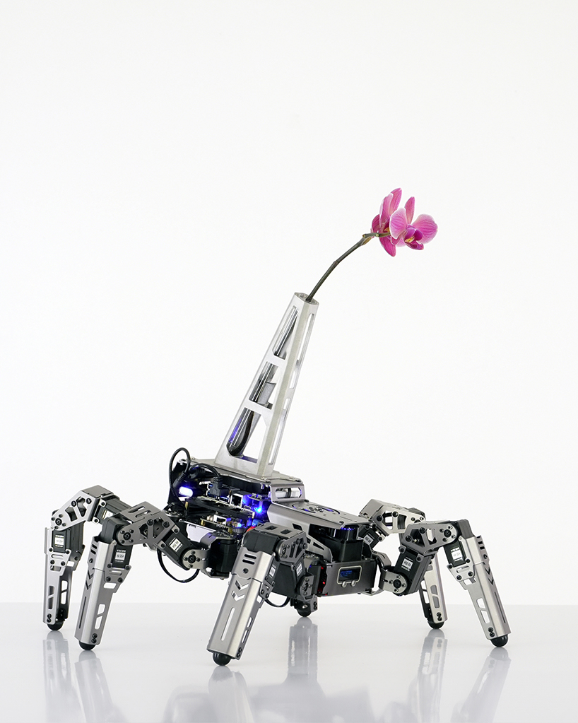 beauty seeker seeker batten and kamps embodied ai vase interrogates the 21st century attention economy 4