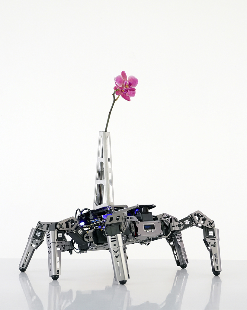 beauty seeker seeker batten and kamps embodied ai vase interrogates the 21st century attention economy 5