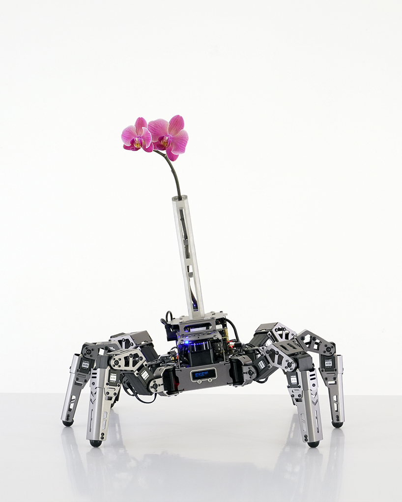 beauty seeker seeker batten and kamps embodied ai vase interrogates the 21st century attention economy 6