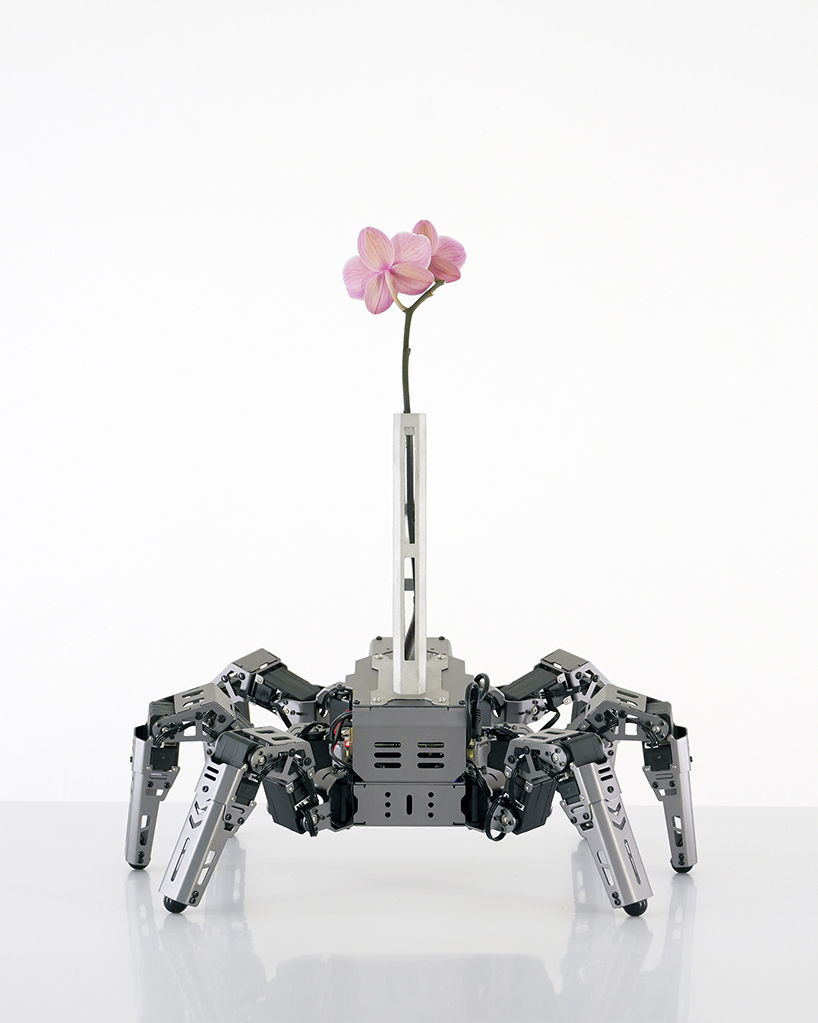 beauty seeker seeker batten and kamps embodied ai vase interrogates the 21st century attention economy 7