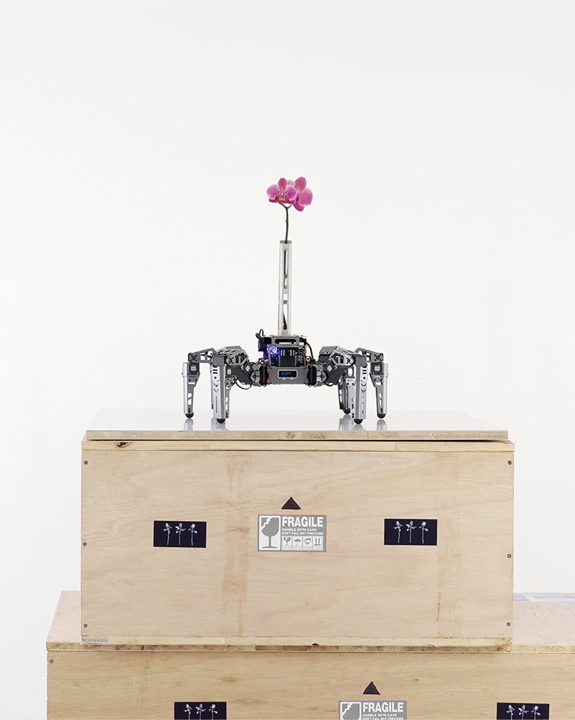 beauty seeker seeker batten and kamps embodied ai vase interrogates the 21st century attention economy 8