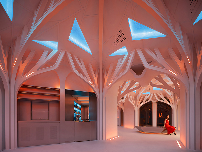 tree-shaped columns dominate café-bar on gulangyu island, china