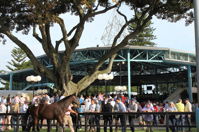 arcadia uses bones of thoroughbred sales ring to design playground with strong heritage links 3