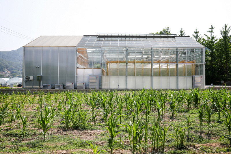 studio STAY completes a glasshouse laboratory in south korea designboom