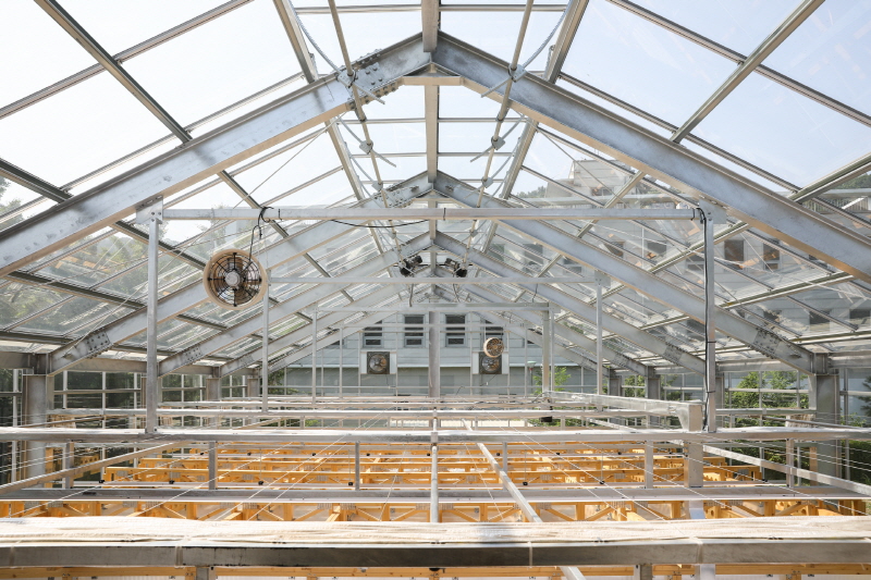 studio STAY completes a glasshouse laboratory in south korea designboom